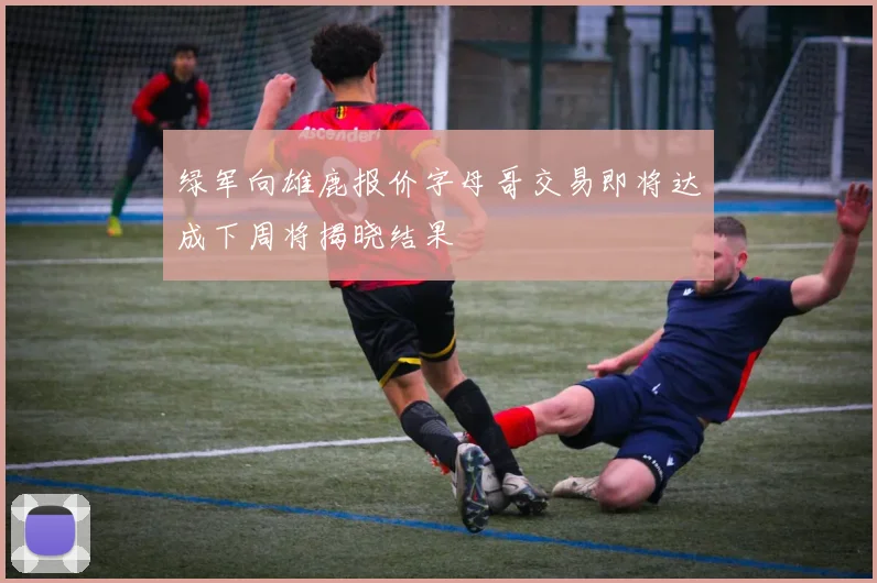 绿军向雄鹿报价字母哥交易即将达成下周将揭晓结果