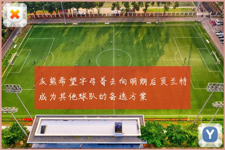 灰熊希望字母哥去向明朗后莫兰特成为其他球队的备选方案