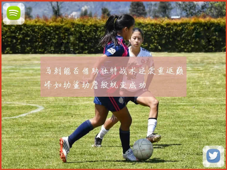 马刺能否借助独特战术逆袭重返巅峰如幼鲨幼詹般蜕变成功